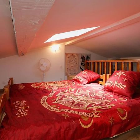 Апартаменты Harry Potter - Le Logis Du Petit Sorcier - Clim Каркассон Экстерьер фото